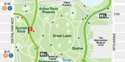 Mapa de central park en execución